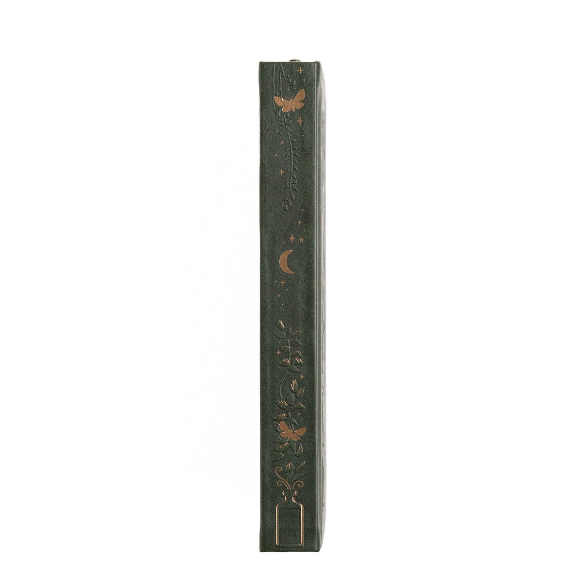Apothecary Shelf Notebook