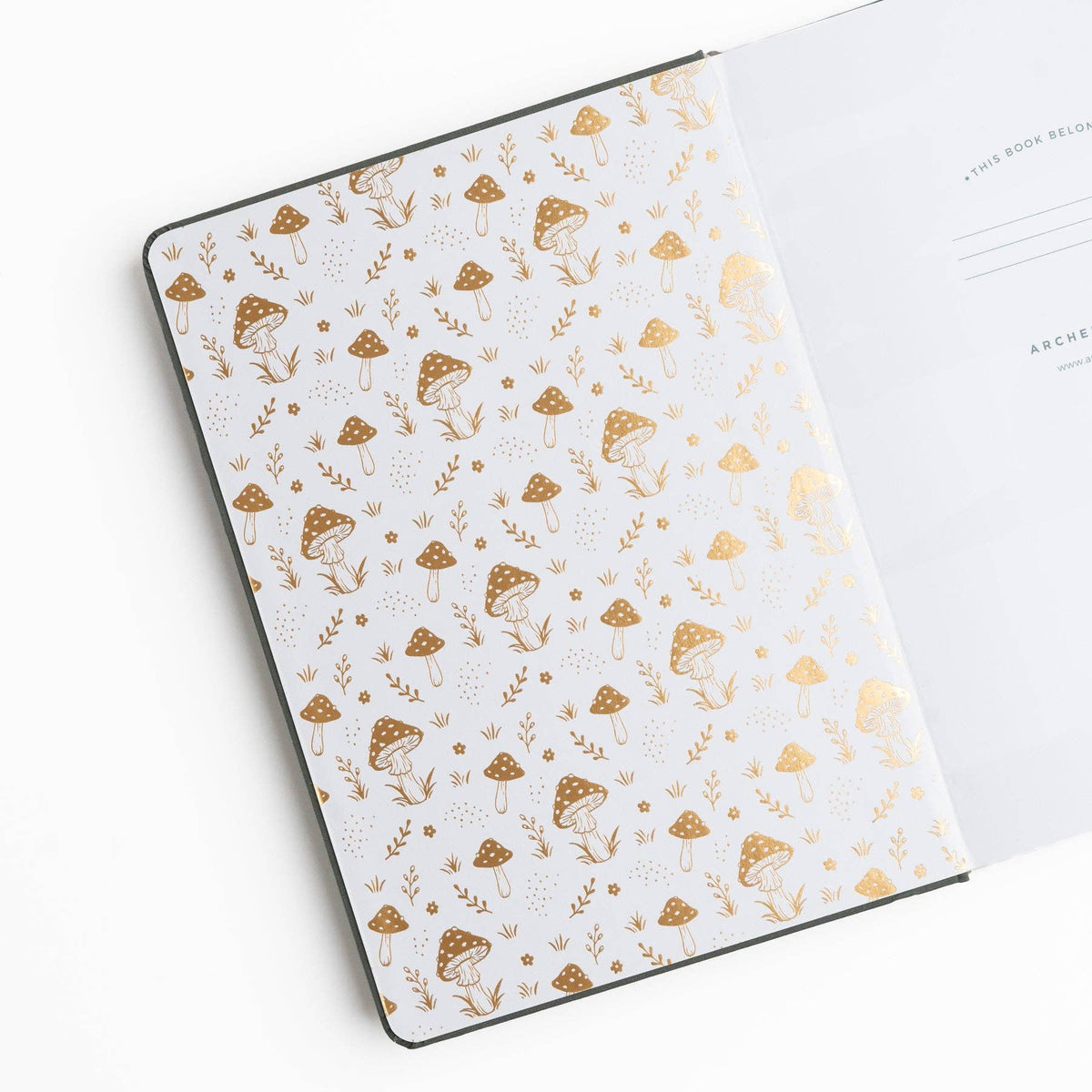 Wholesale Limited Edition B5: Mushrooms