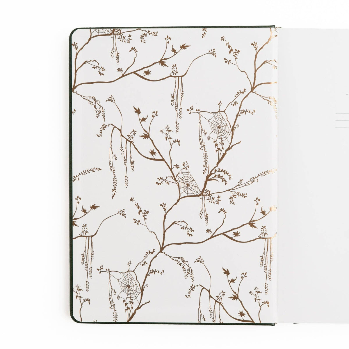 Apothecary Shelf Notebook