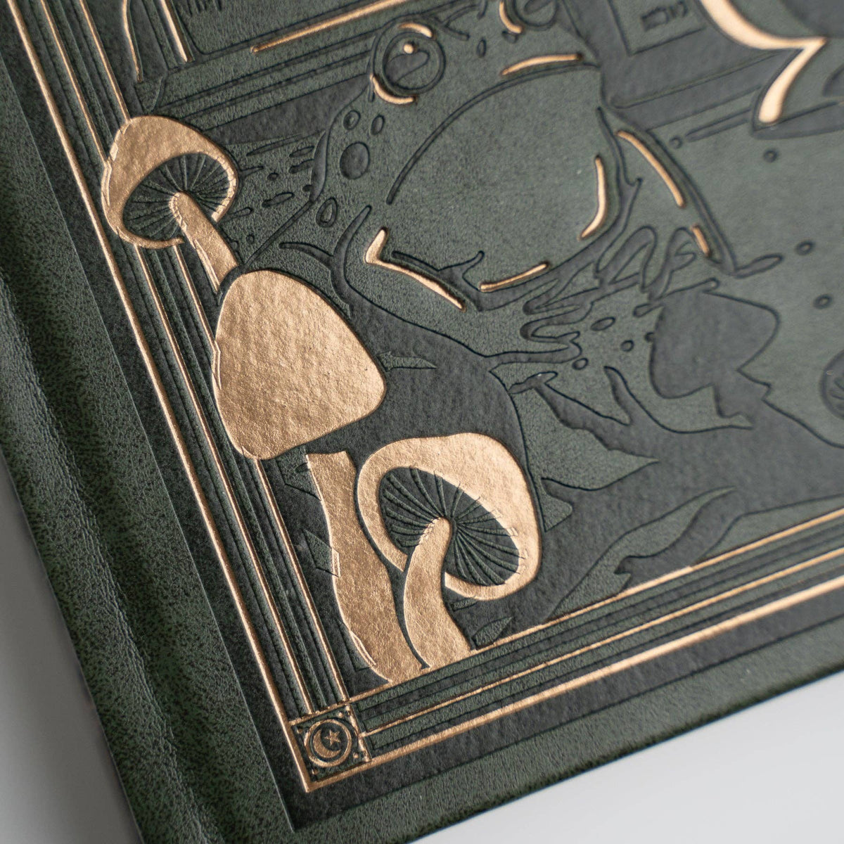 Apothecary Shelf Notebook